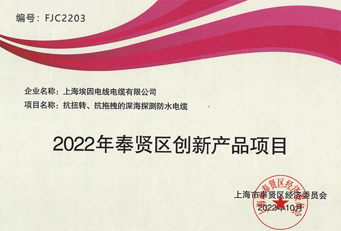 2022年奉贤区创新产品项目