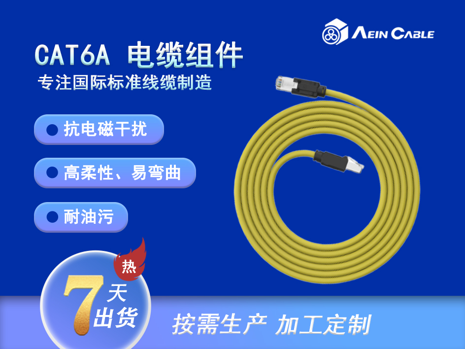 CAT6A 电缆组件 CAT6A 电缆组件