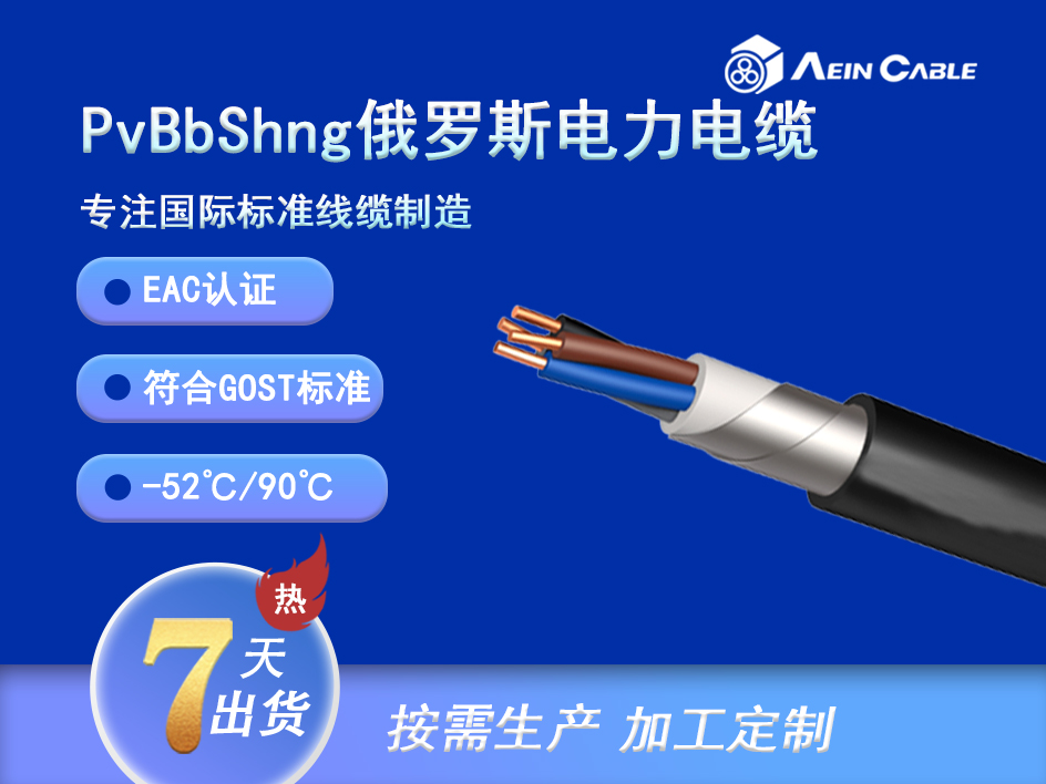 PVBbShng EAC认证0.66/1KV铠装电力电缆
